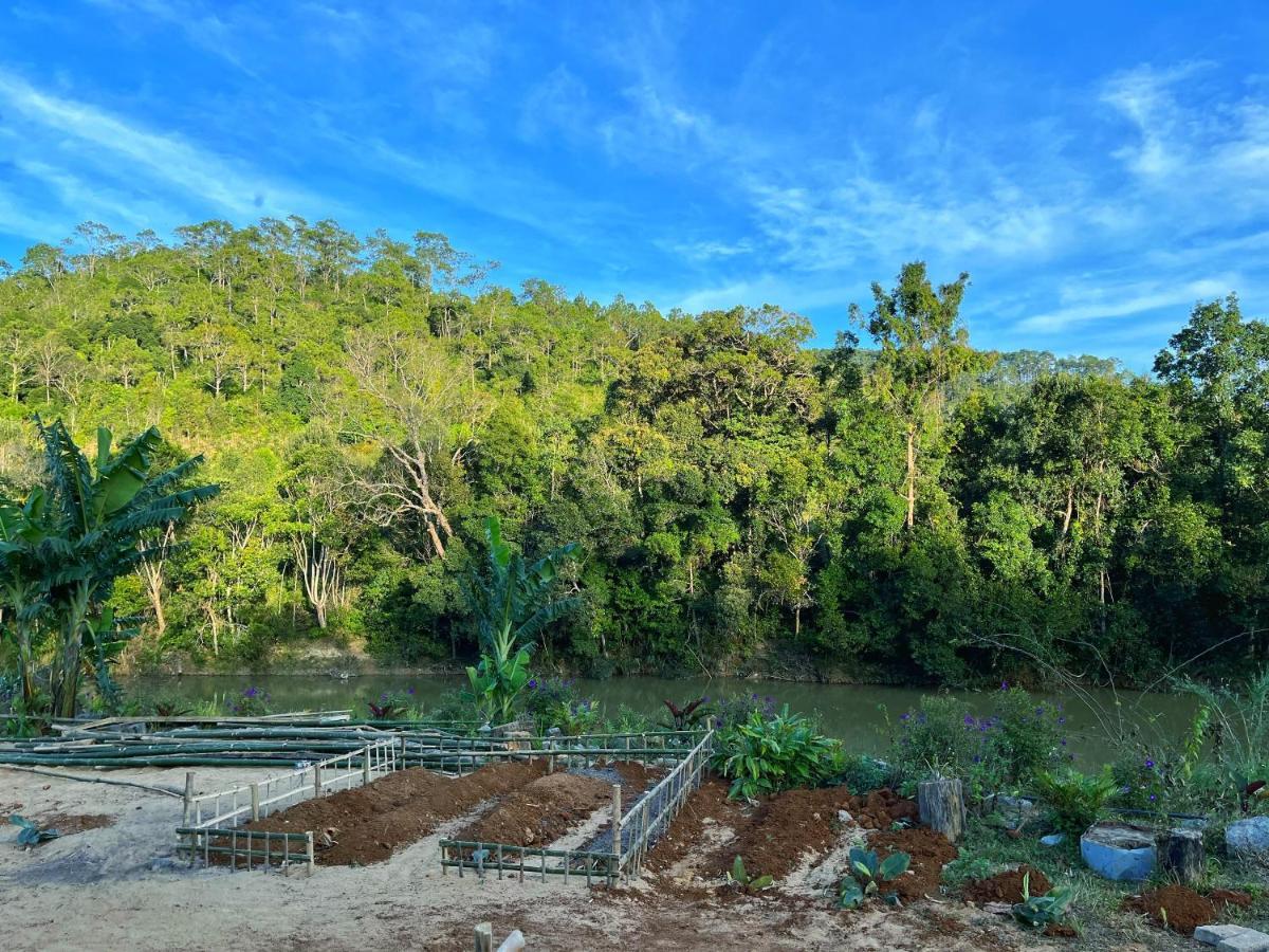 Coi Nguon Farm Glam Mang Den