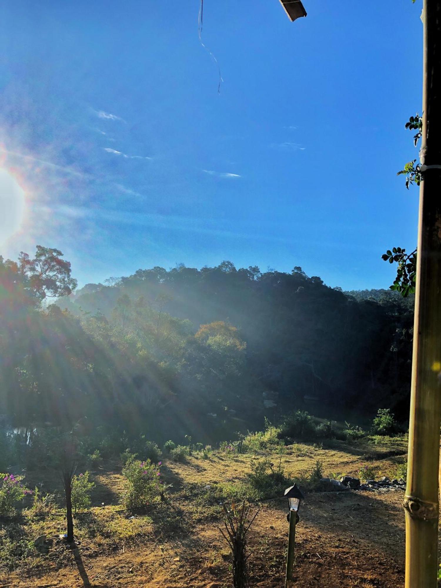 Coi Nguon Farm Glam Mang Den