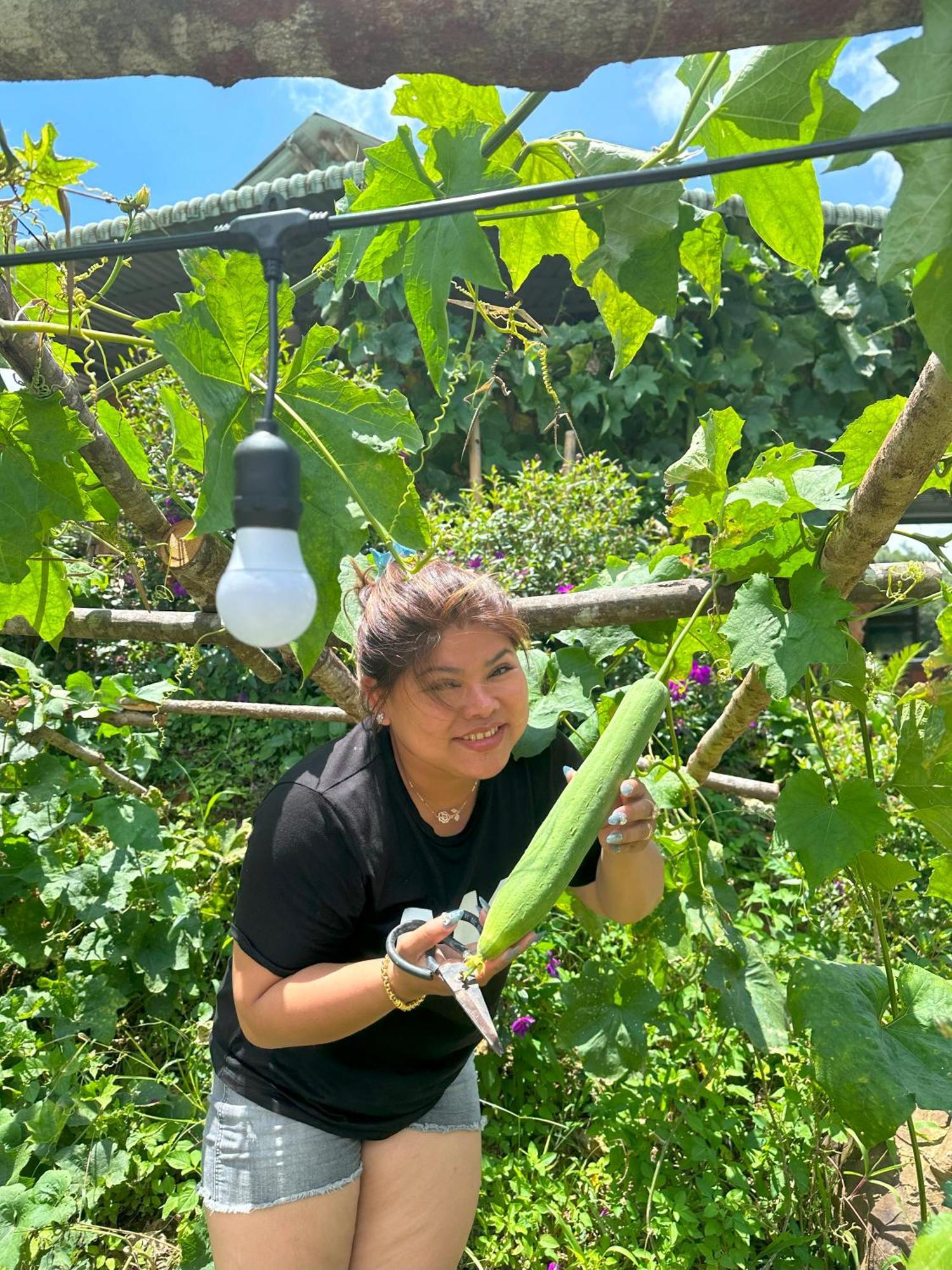 Coi Nguon Farm Glam Mang Den Kon Von Kla